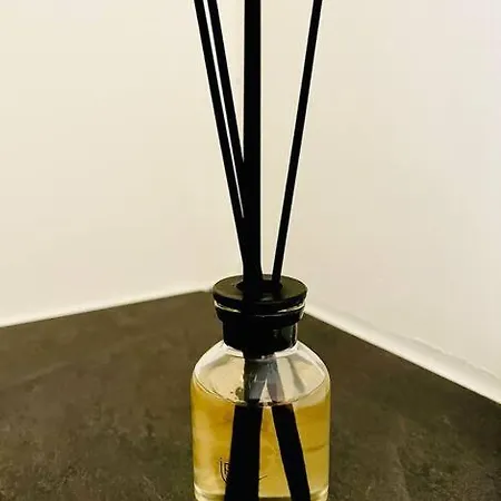 Apartment Goldschmied